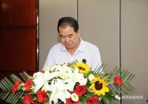 洛南爆料最新新闻,最新新闻事件深度解析