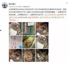 中实学校爆料事件视频,视频揭露惊人真相 第1张 中实学校爆料事件视频,视频揭露惊人真相 第1张